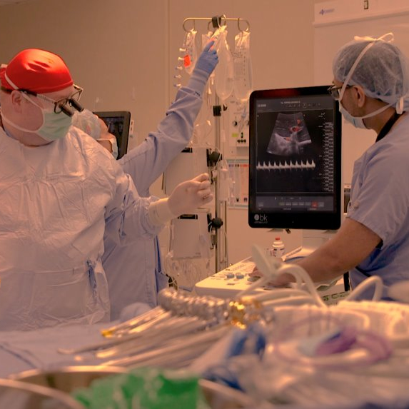 University Hospital Network